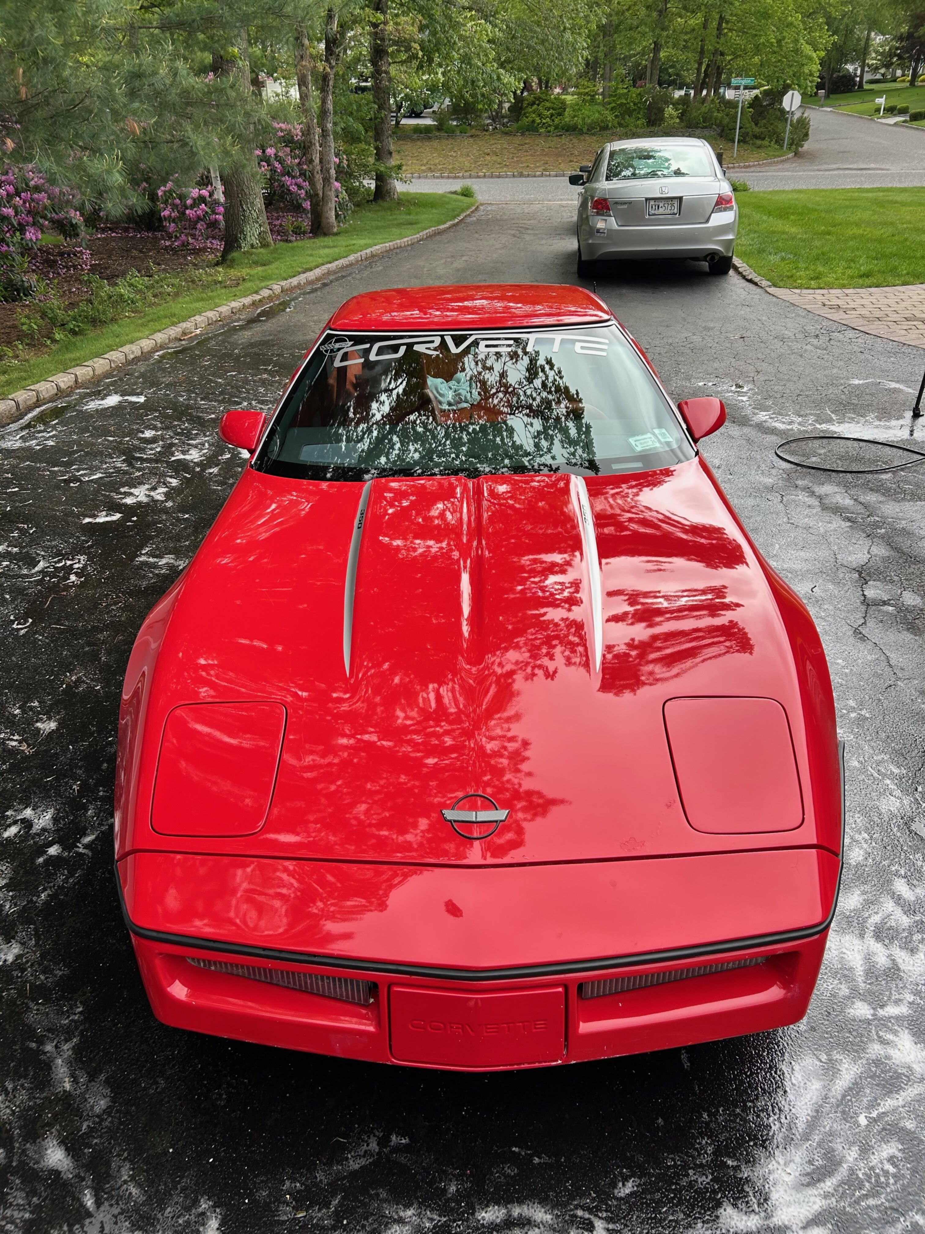BRD Shot Red Clean